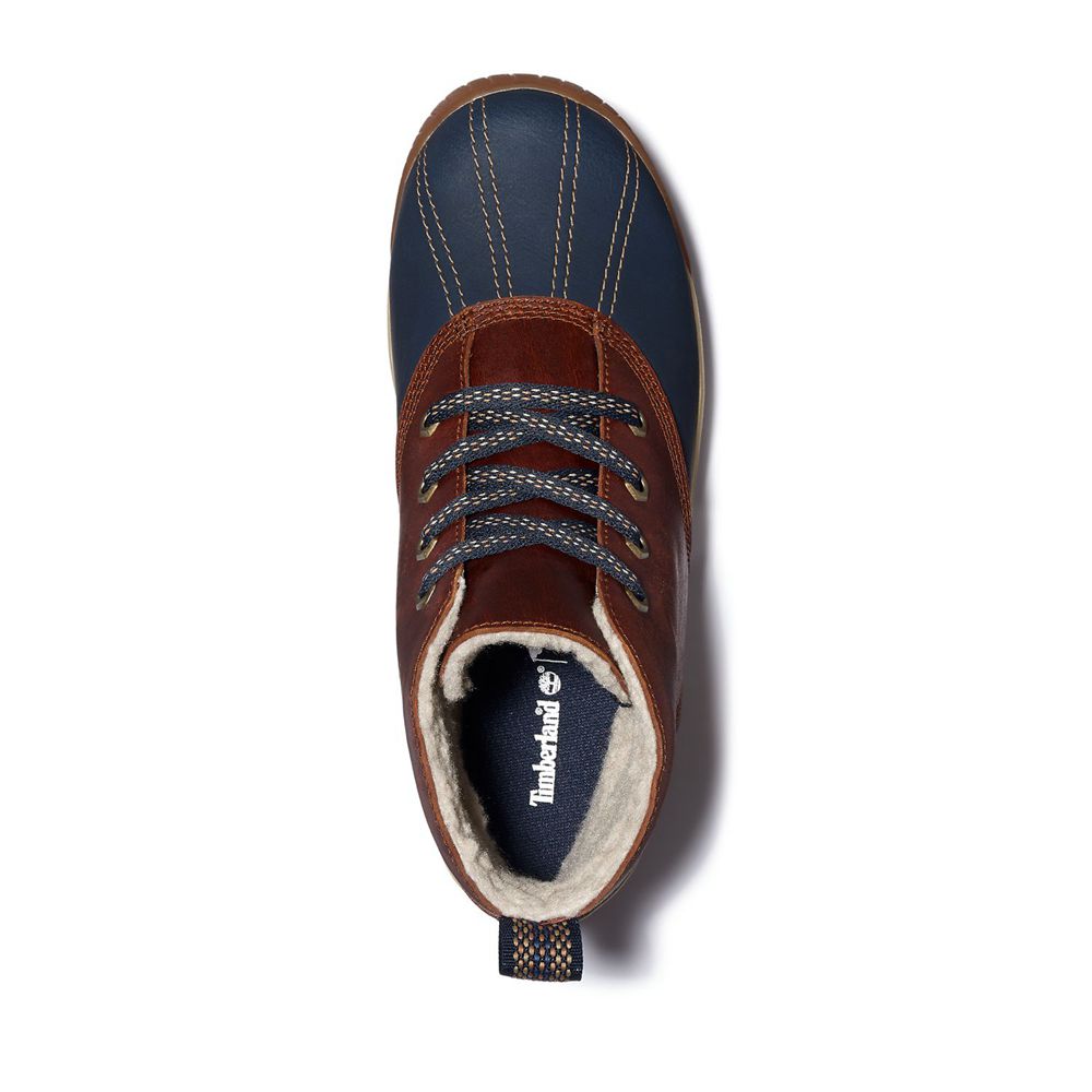 Botas Chukka Feminino - Timberland Mt. Hayes Impermeavel - OUJWS7215 - Marrom/Azuis